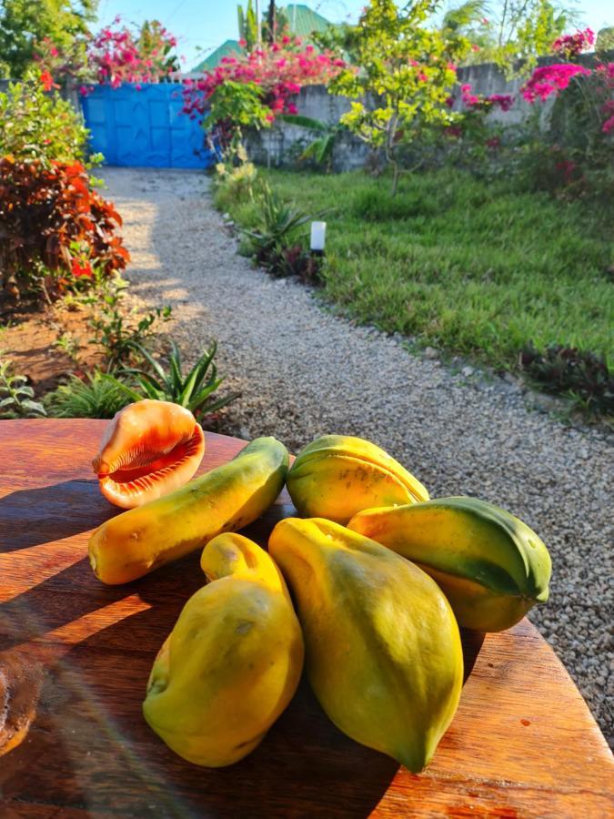 Frangipani House Nungwi Zanzibar Appartement Buitenkant foto