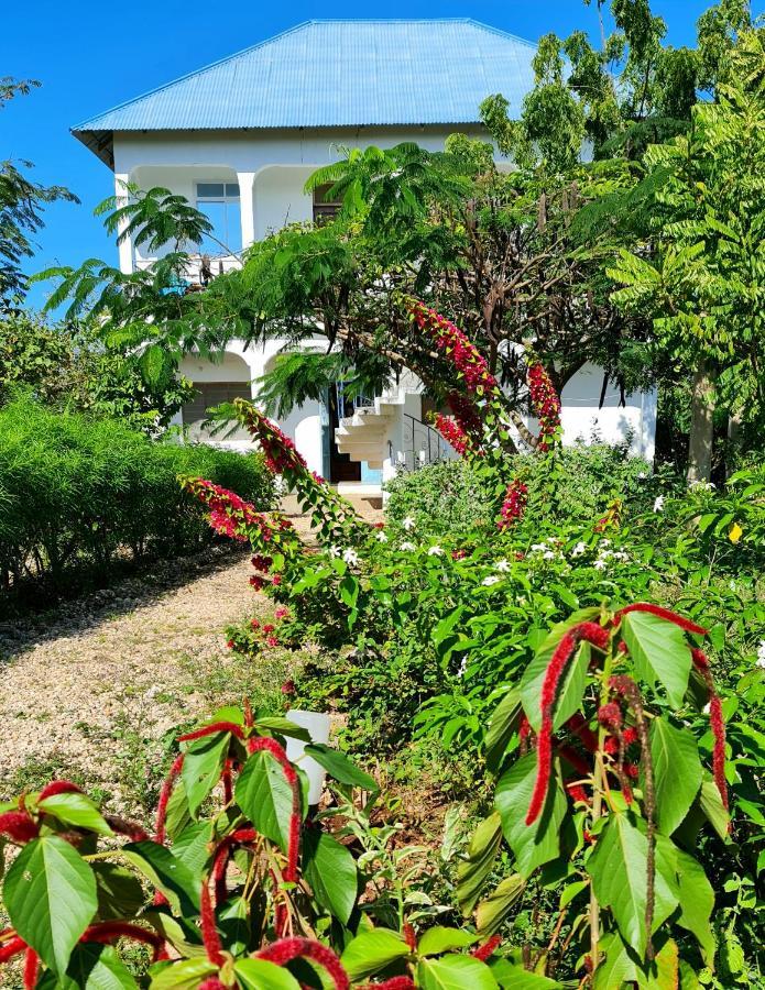 Frangipani House Nungwi Zanzibar Appartement Buitenkant foto